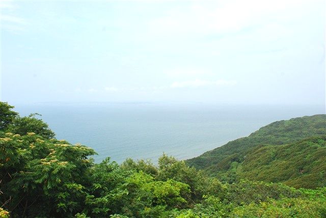 富津市観光案内_c0116714_142311.jpg