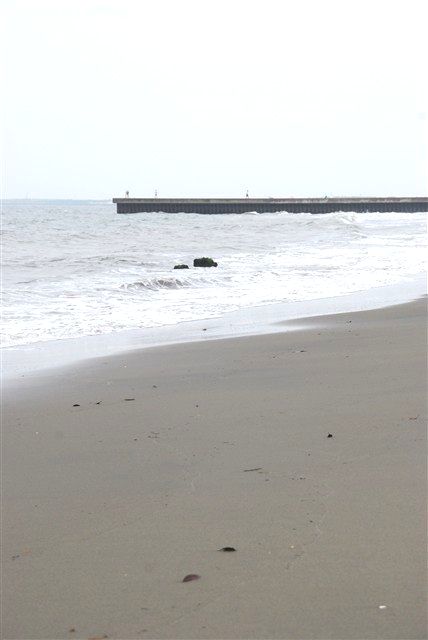 富津市観光案内_c0116714_14562788.jpg