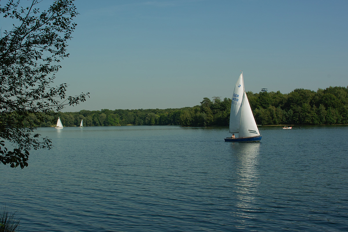 b0148617_532670.jpg