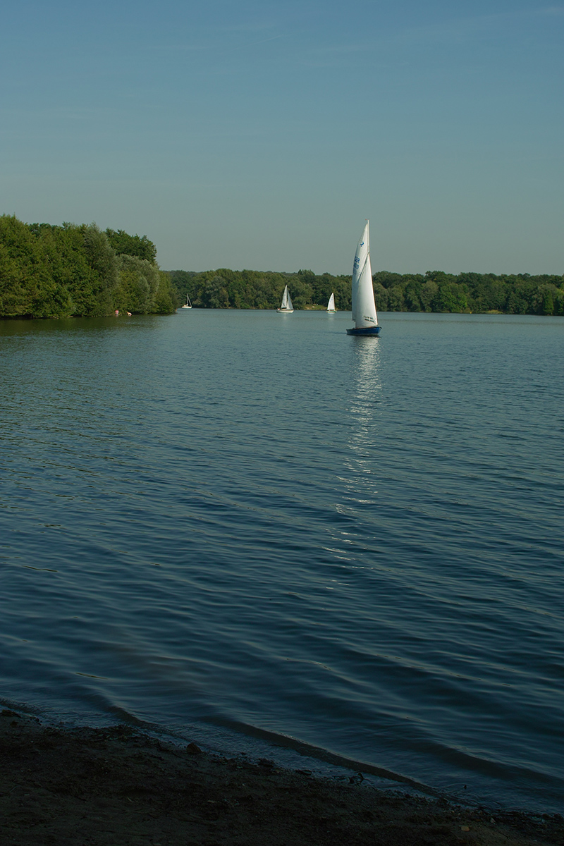 b0148617_5556.jpg