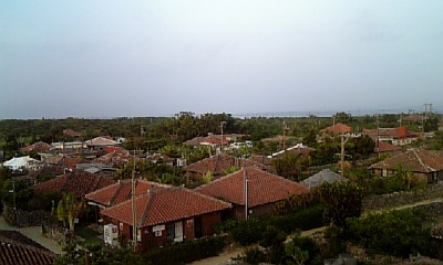 d0050518_7155574.jpg
