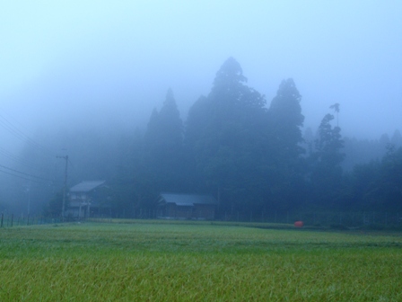 寒い・・雲海　　　朽木小川・気象台より_c0044819_6383430.jpg