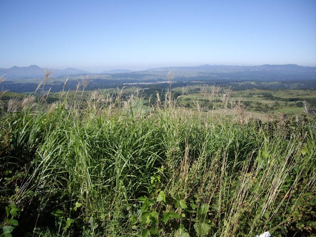 e0069622_21332026.jpg