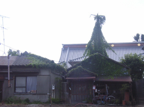 f0108825_7252328.jpg