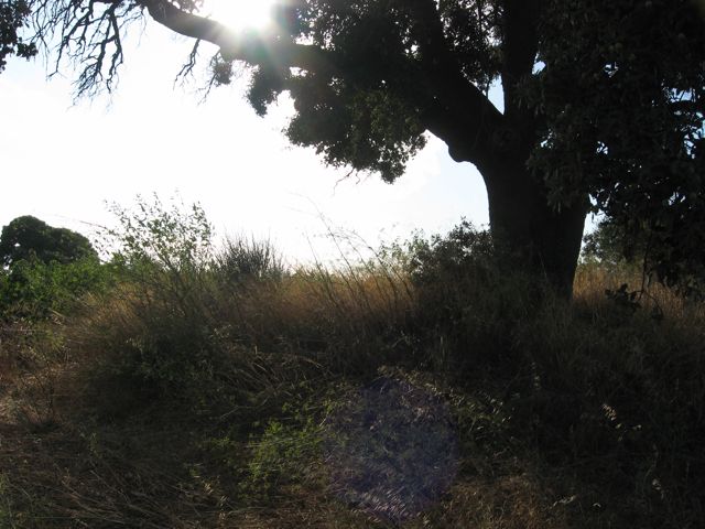 c0188527_5374788.jpg