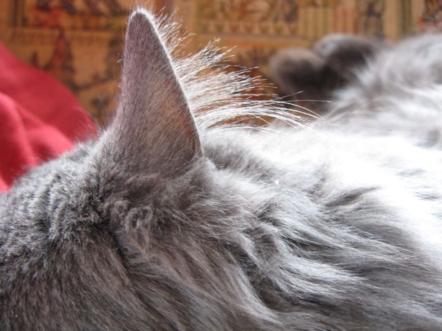 c0188527_53872.jpg