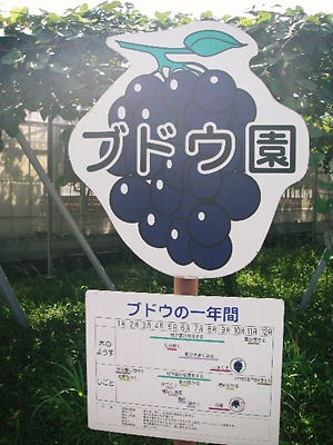 c0143330_22311893.jpg