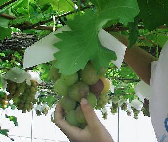c0143330_223942.jpg