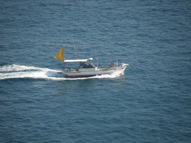 c0141933_148477.jpg