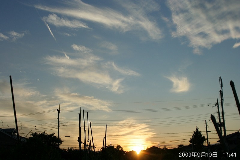 朝夕の散歩道の空_e0052135_21404296.jpg