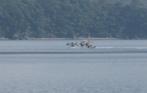 b0100637_15132251.gif