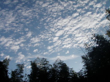 a0054240_21341250.jpg