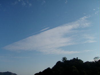 a0054240_21464585.jpg