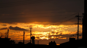 a0126341_1392839.jpg