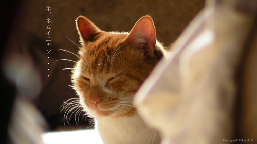 c0201143_22343040.jpg