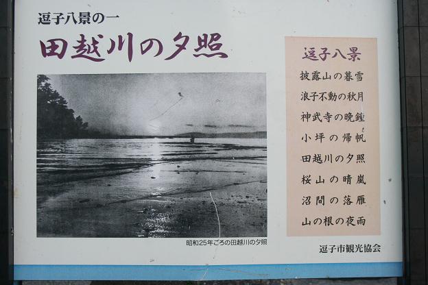 c0004744_17451356.jpg