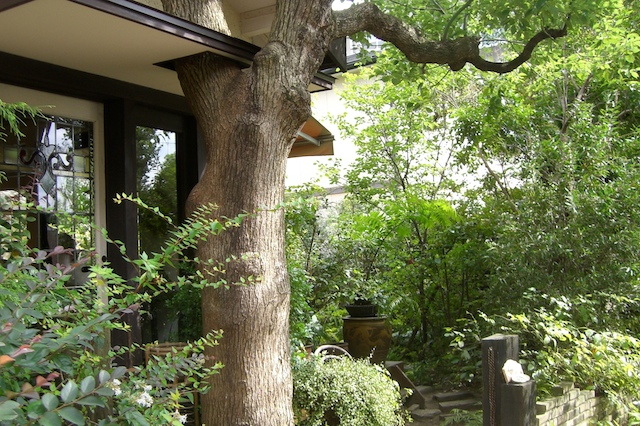 f0077150_1037449.jpg