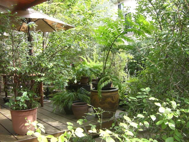 f0077150_10412269.jpg
