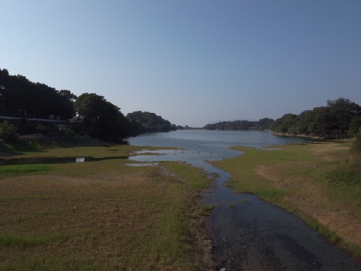 c0153951_13202557.jpg