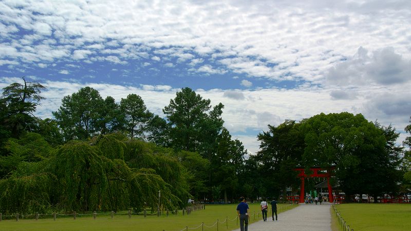 重陽の節句 烏相撲奉納 （上賀茂 賀茂別雷神社（上賀茂神社） ） (2009年09月11日) _c0119555_11583573.jpg