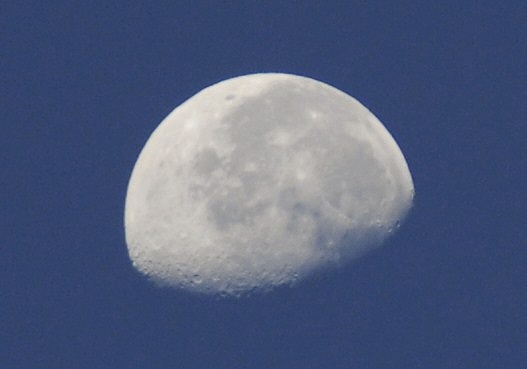 b0181457_10105229.jpg