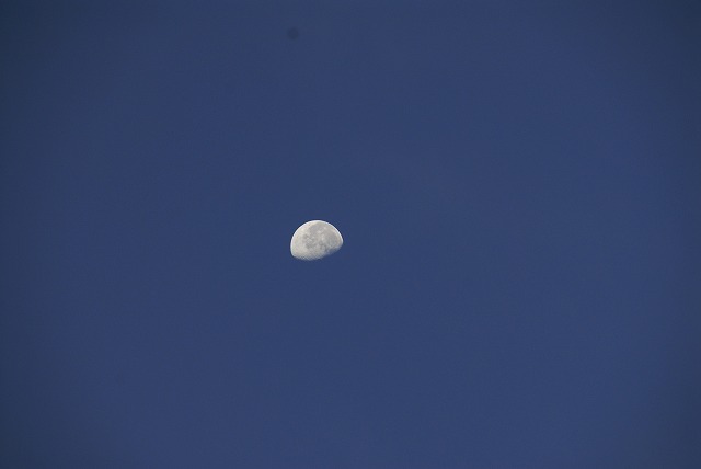 b0181457_1010747.jpg