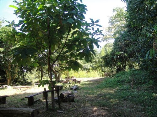 c0108460_1655232.jpg
