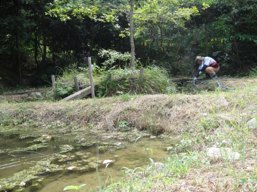 c0108460_1661091.jpg
