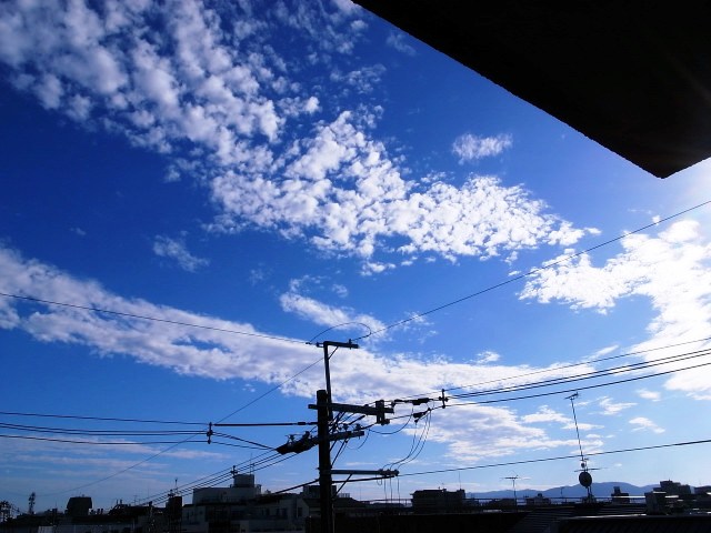 d0090161_1133176.jpg