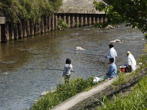 f0208666_16392463.jpg