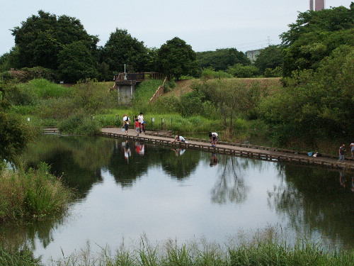 f0208666_1640271.jpg