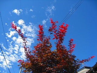e0160568_15215184.jpg