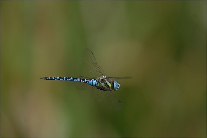f0088971_22512359.jpg