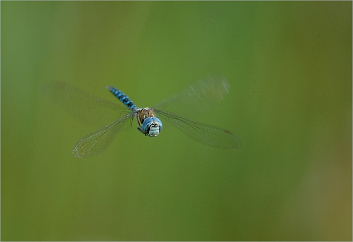 f0088971_22522756.jpg