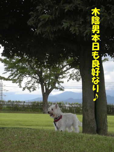 e0066883_22551068.gif