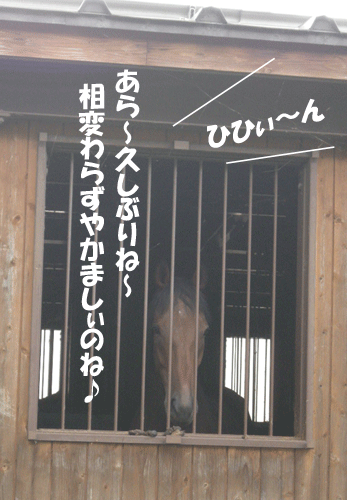 e0066883_22571679.gif