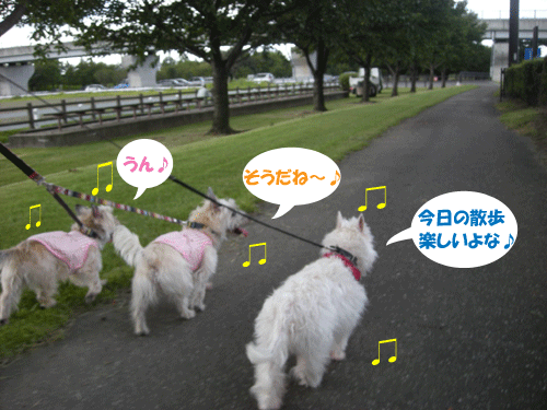 e0066883_2334823.gif