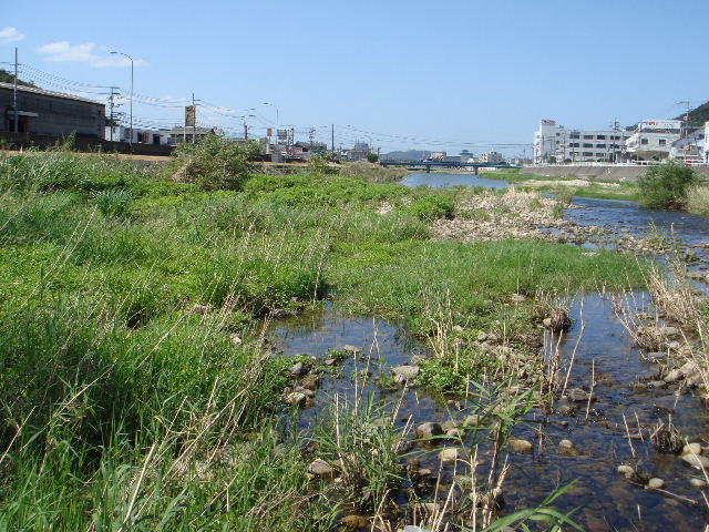 瀬野川中州・対岸探検　その３_e0060485_7535250.jpg