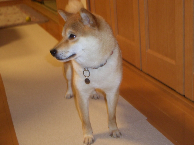 出会い_a0126590_1262959.jpg