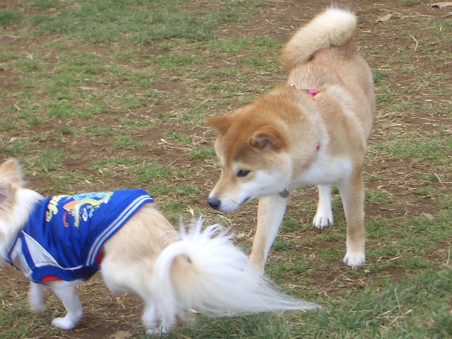 出会い_a0126590_1265888.jpg