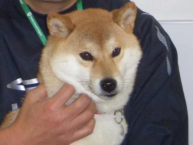 出会い_a0126590_127344.jpg