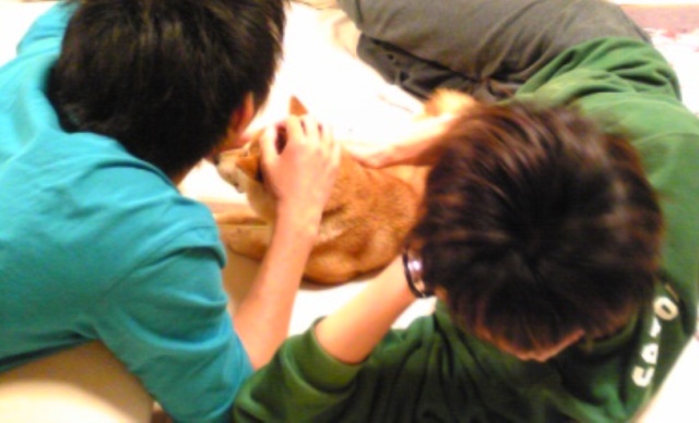 出会い_a0126590_147423.jpg