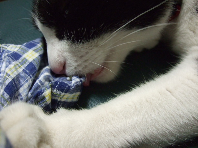 c0150193_2314971.jpg