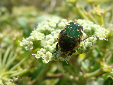 c0105295_20412626.jpg