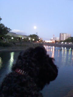 c0037701_23503082.jpg
