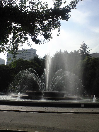 e0035711_21334031.jpg