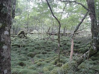 ちゃっぽん富士山顛末記２_c0054112_1422723.jpg