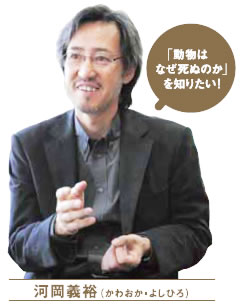 「動物はなぜ死ぬのか知りたい」研究者たちが「キメラインフルエンザ」を作る!_e0171614_1216221.jpg
