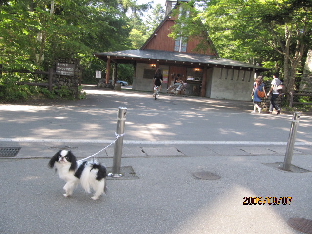 c0200916_0322058.jpg