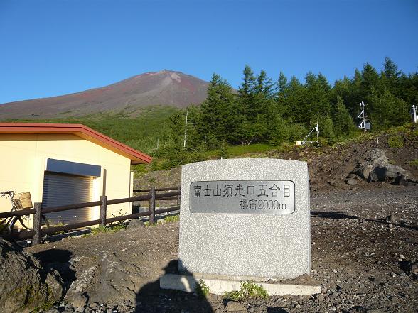 f0163116_11502636.jpg